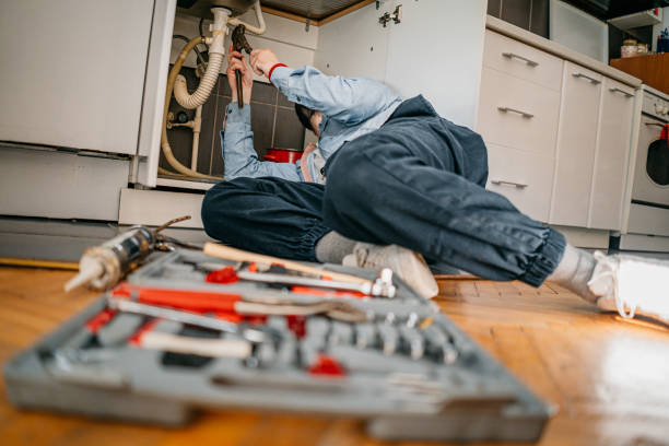 Best Affordable Plumbing Services  in Botkins, OH