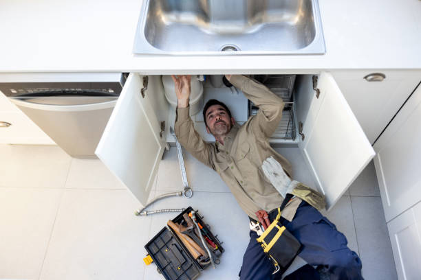 Best Local Plumber Services  in Botkins, OH